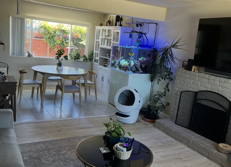 Spotless family room cleaned by Sage Cleanings